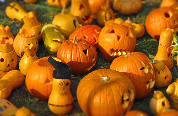 Calabazas talladas, ¿por qué en Halloween? - Evadium Blog