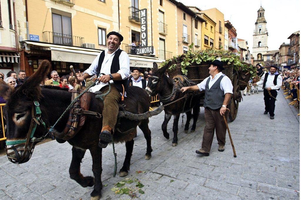 Fiesta de la vendimia de Toro, Zamora