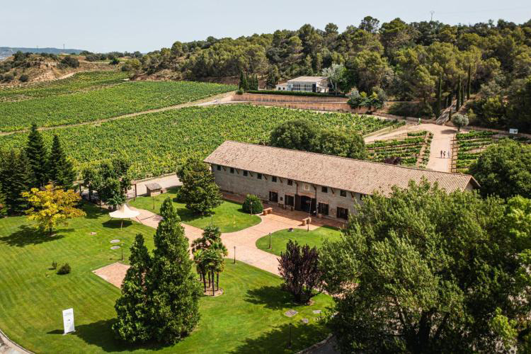 Viñedos de Bodegas Viñas del Vero, Somontano, Huesca
