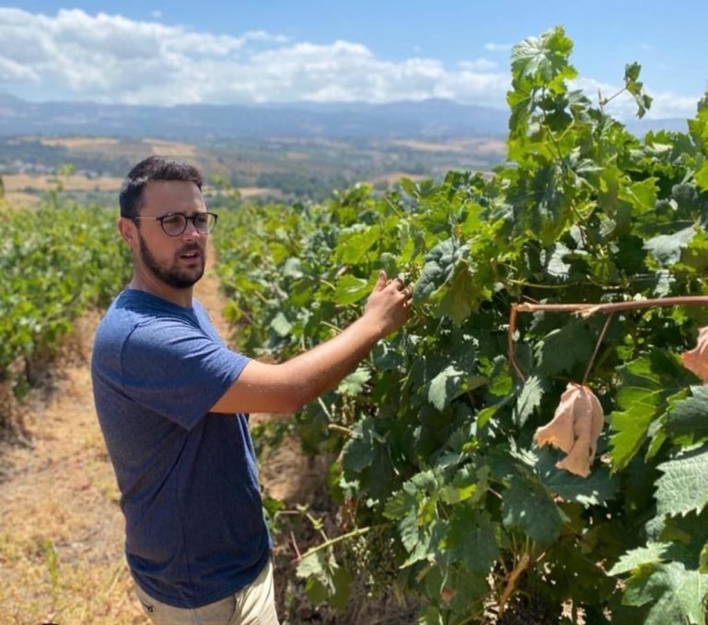 Enólogo a pie de viñedo