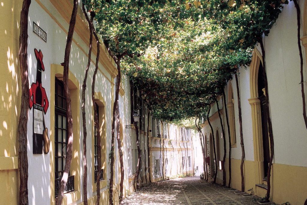 Calle emparrada de bodegas Tío Pepe, en Jerez de la Frontera, Cádiz