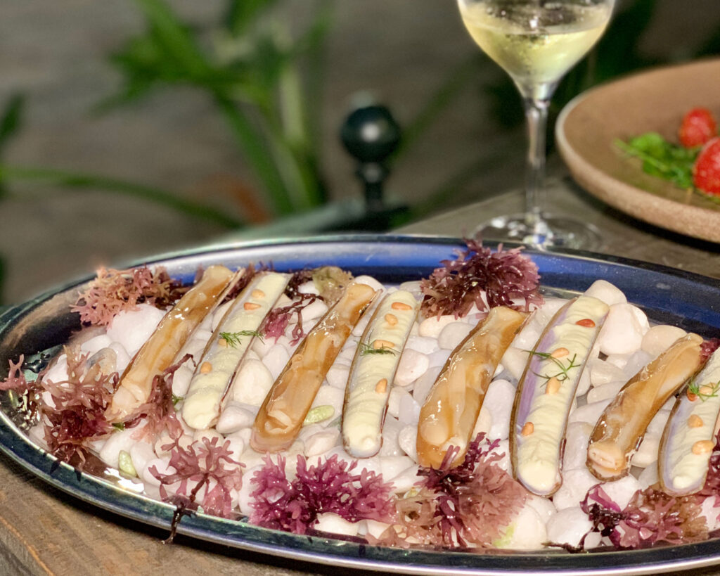 Navajas, Blog Hedonista