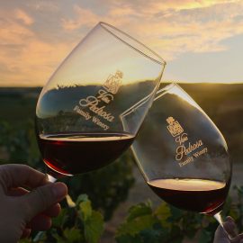 Copas de vino en viñedo, Bodega Viña Pedrosa