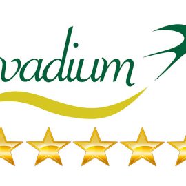 Servicio Evadium 5 estrellas