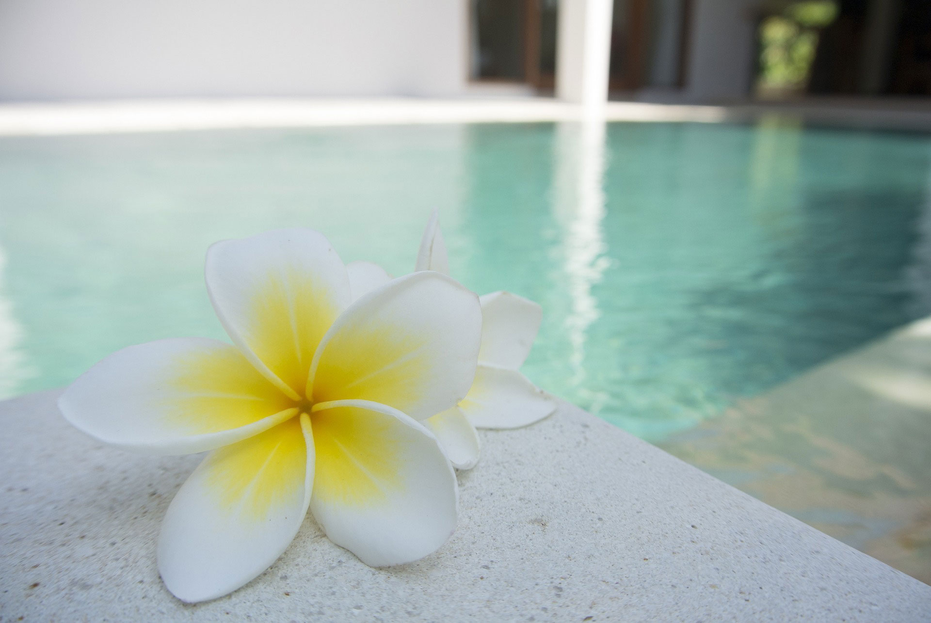 Piscina relax Spa