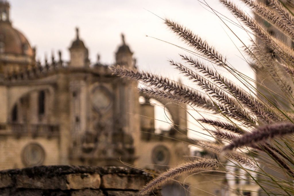 Catedral de Jerez de la Frontera