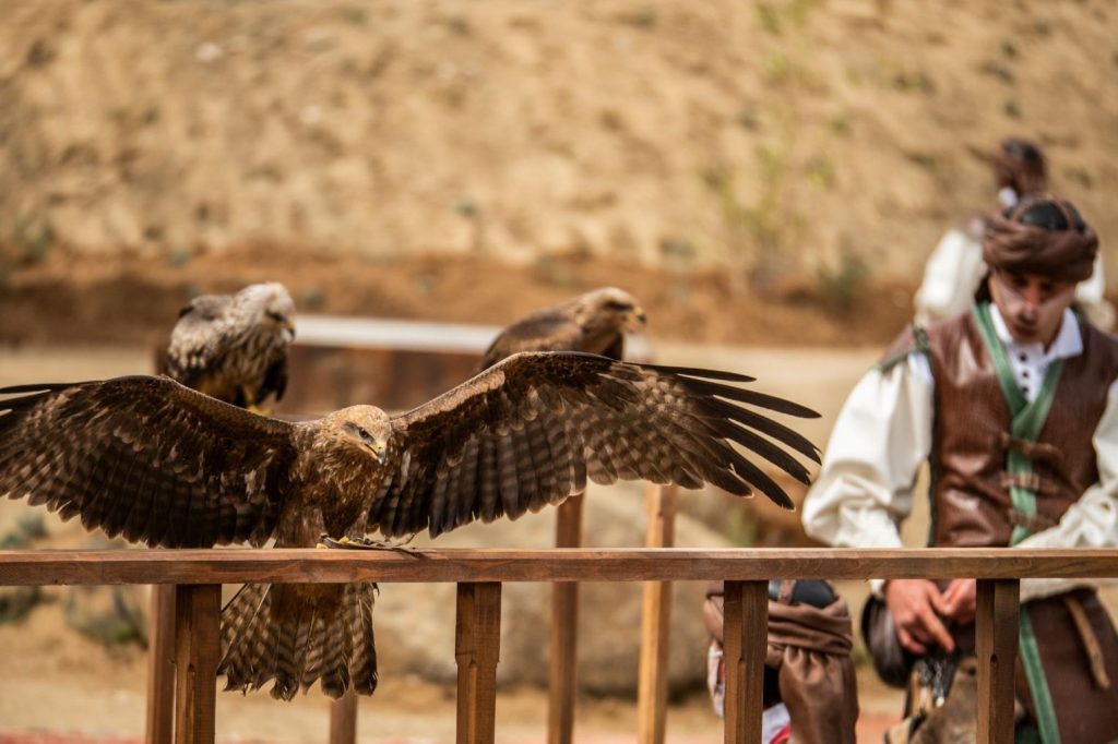 Espectáculo Cetrería de Reyes, Puy du Fou Toledo