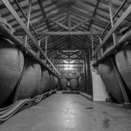 Bodega Jesús Díaz e hijos, un legado centenario en el corazón vitivinícola de Madrid Sala de tinajas de bodega Jesús Díaz e Hijos, Colmenar de Oreja