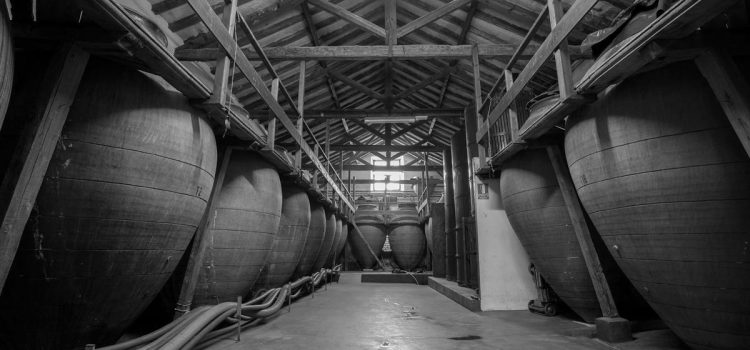 Bodega Jesús Díaz e hijos, un legado centenario en el corazón vitivinícola de Madrid Sala de tinajas de bodega Jesús Díaz e Hijos, Colmenar de Oreja