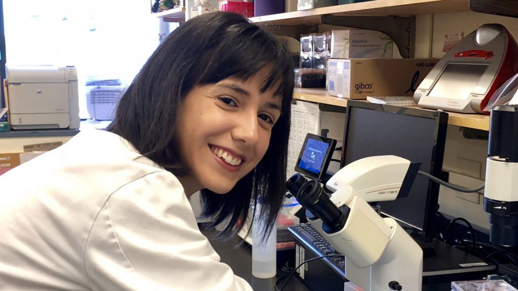 Investigadora Programa CRIS contra el cáncer