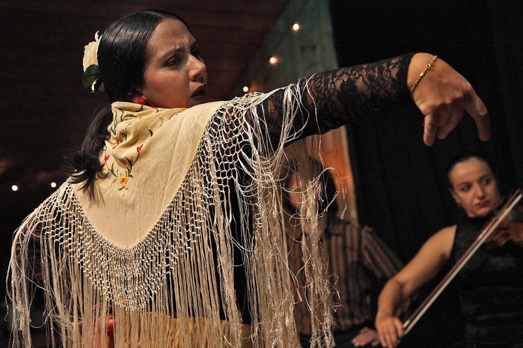 Bailaora de espectáculo de tablao flamenco
