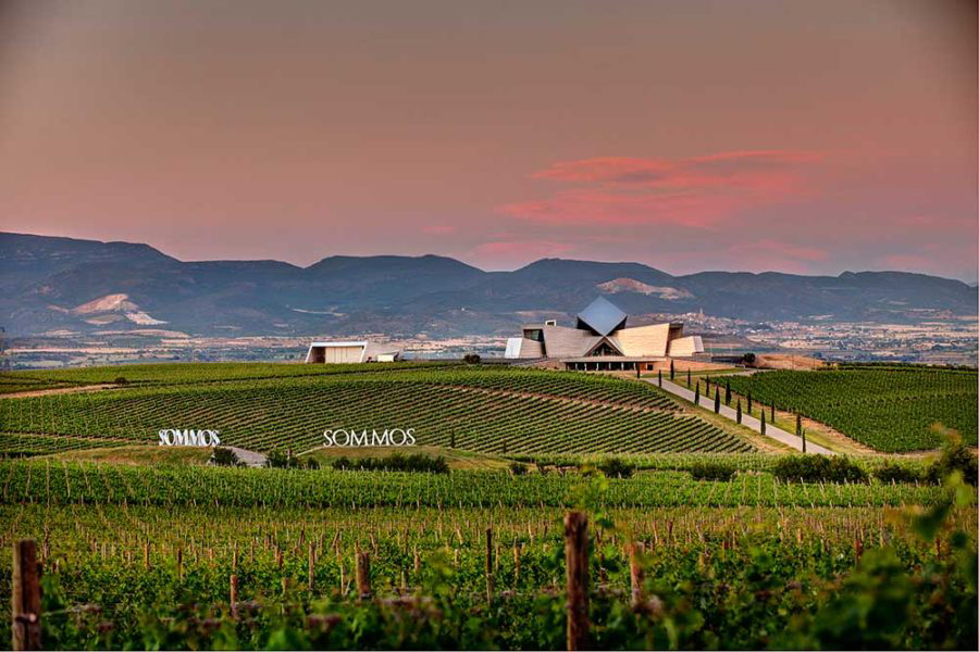 Vista panorámica de bodega del Somontano de Barbastro