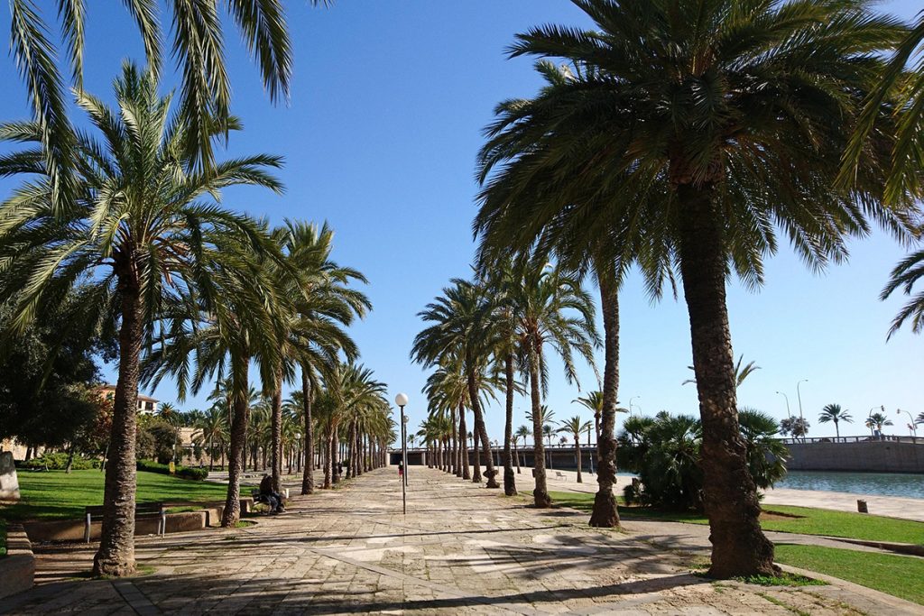 Paseo marítimo de Palma de Mallorca